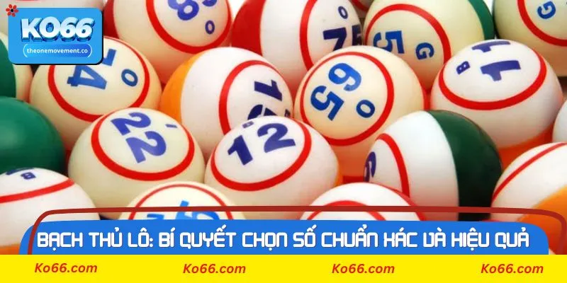 Kinh nghiệm dùng bạch thủ lô hiệu quả từ chuyên gia